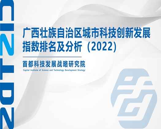 曰BB一级片【成果发布】广西壮族自治区城市科技创新发展指数排名及分析（2022）